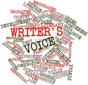 writer-s-voice-terms