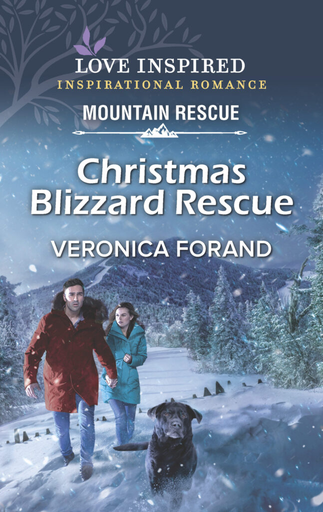 Christmas Blizzard Rescue Cover